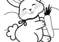 Bunny Coloring Pages Holding Carrot