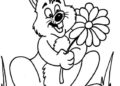 Bunny Coloring Pages Holding Flowers