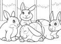 Bunny Coloring Pages Images For Children