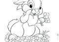 Bunny Coloring Pages Pictures For Children