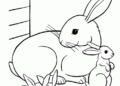 Bunny Coloring Pages Printable Free