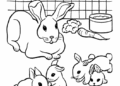 Bunny Family Coloring Pages