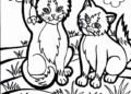 Cat Coloring Pages For Kids