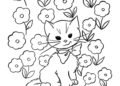 Cat Coloring Pages Images
