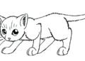 Cat Coloring Pages Picture