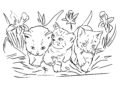 Cat Coloring Pages in Group