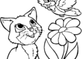 Cat Coloring Pages with Flower and Bird