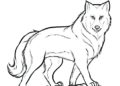 Cool Wolf Coloring Pages Printable