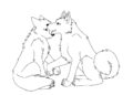 Couple Wolf Coloring Pages Images