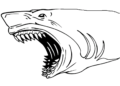 Creepy Shark Coloring Pages