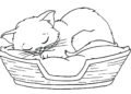 Cute Cat Coloring Pages Sleeping