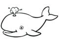 Cute Fish Coloring Pages of Whale