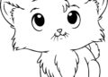 Cute Kitten Coloring Pages Images Printable
