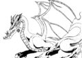 Dragon Coloring Pages Images Pictures