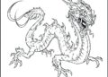 Dragon Coloring Pages Printable Pictures