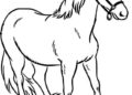 Easy Horse Coloring Pages Free