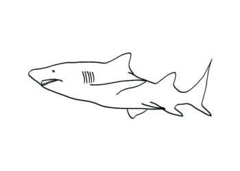 30 Shark Coloring Pages For Kids - Visual Arts Ideas