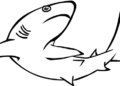 Easy Shark Coloring Pages Images