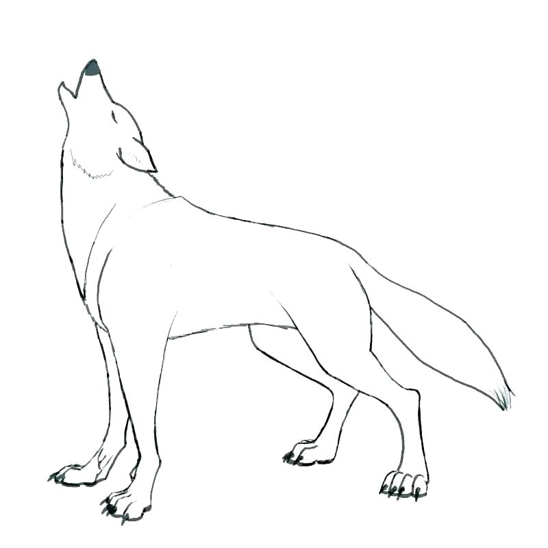 40 best wolf coloring pages for children  visual arts ideas