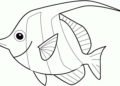 Fish Coloring Pages Images For Children