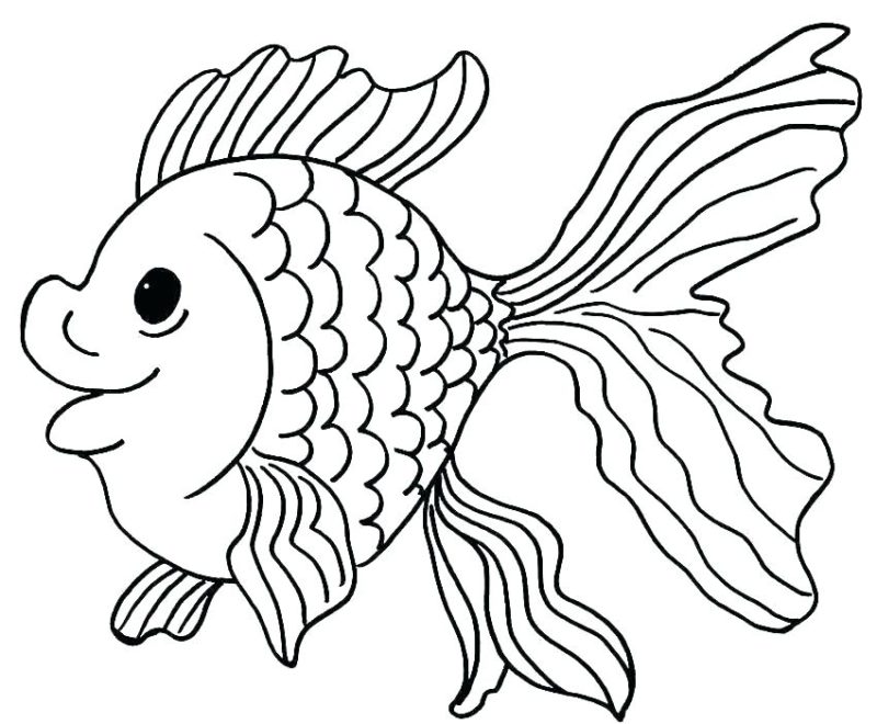 50 Best Fish Coloring Pages For Elementary School and Kindergarten