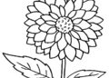 Flower Coloring Pages 2019 Images