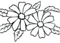 Flower Coloring Pages 2019 Pictures