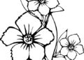 Flower Coloring Pages Free