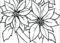 Flower Coloring Pages Image Download