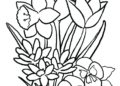 Flower Coloring Pages Image Free