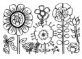Flower Coloring Pages Images 2019