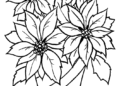 Flower Coloring Pages Pictures 2019