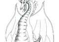 Free Dragon Coloring Pages Printable Pictures