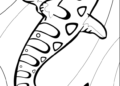 Free Shark Coloring Pages Images