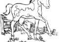 Horse Coloring Pages Free Pictures