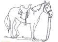 Horse Coloring Pages Image