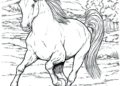 Horse Coloring Pages Images Free