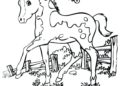 Horse Coloring Pages Images in The Cage