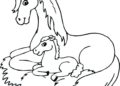 Horse Coloring Pages Picture