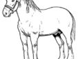 Horse Coloring Pages Pictures 2019