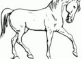 Horse Coloring Pages Printable