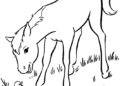 Horse Coloring Pages with Little Duck