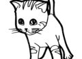 Kitten Coloring Pages Easy