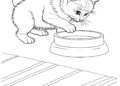 Kitten Coloring Pages Images For Kids