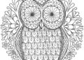 Mandala Coloring Pages of Owl
