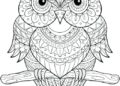 Mandala Coloring Pages of Owl Images