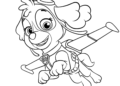Paw Patrol Coloring Pages 2019