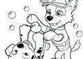 Paw Patrol Coloring Pages Images 2019