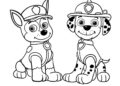 Paw Patrol Coloring Pages Pictures