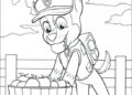 Paw Patrol Coloring Pages Pictures 2019